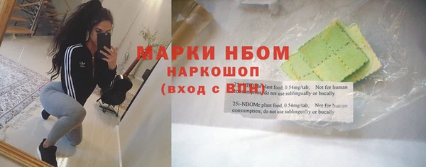 индика Алексин