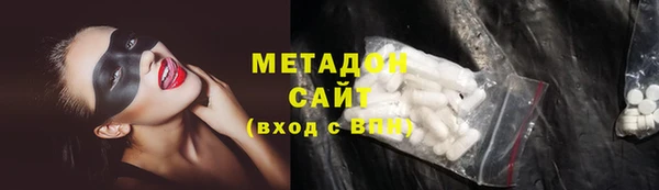 индика Алексин