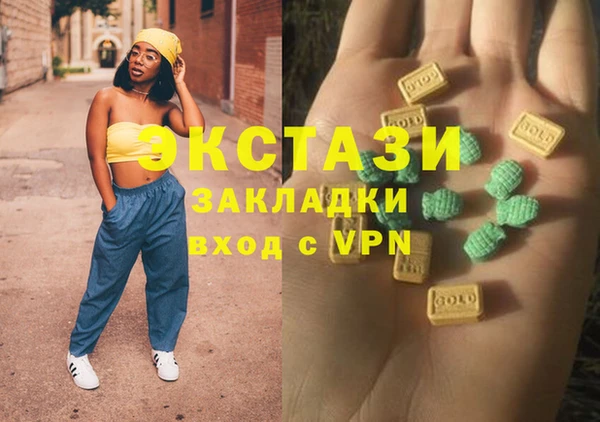 индика Алексин