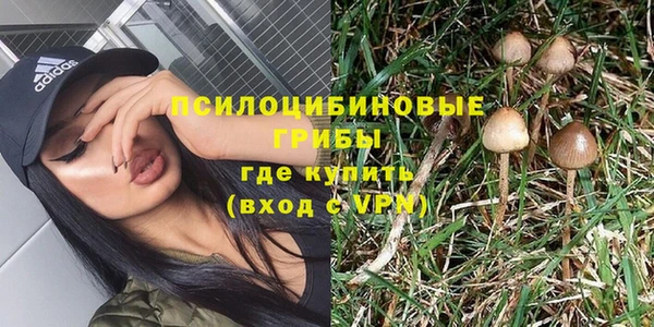 индика Алексин