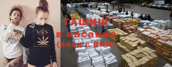 индика Алексин