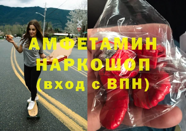 индика Алексин