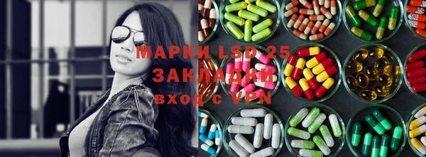 индика Алексин