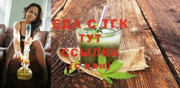 индика Алексин